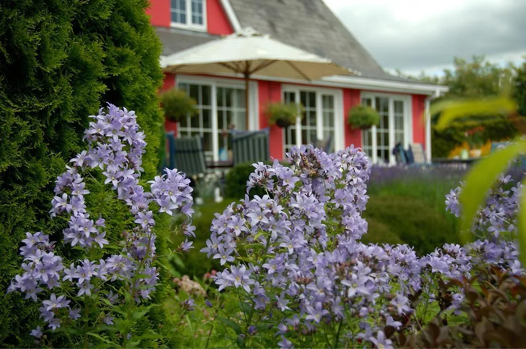 Willowbrook Bed And Breakfast-1
